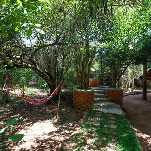  Lodge The Thick Forest Sri Lanka
