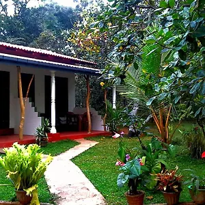 https://nethmi-homestay-sigiriya.kandyhotelsnow.com